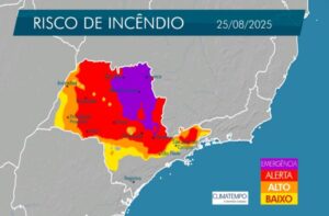 Gráfico mostra o risco de queimadas para cada região do Estado