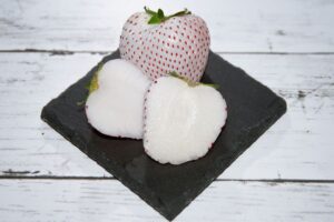 Ícone de sino para notificações