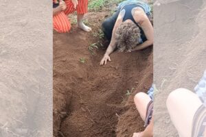 Ícone de sino para notificações