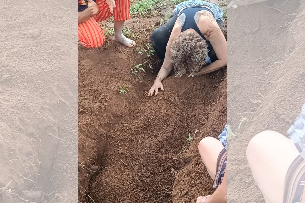 Ícone de sino para notificações