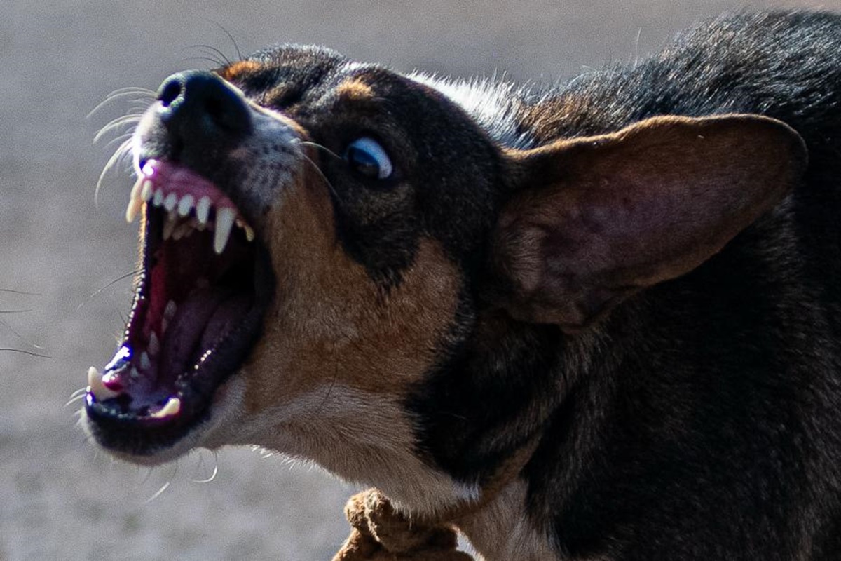 Ícone de sino para notificações