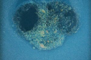 Ícone de sino para notificações