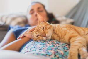 Ícone de sino para notificações