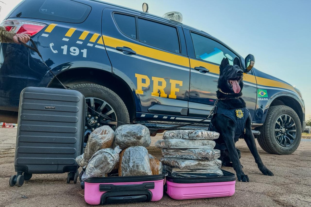 Ícone de sino para notificações