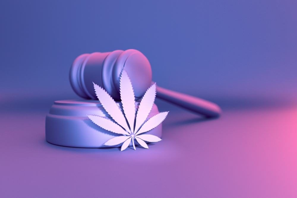 CNJ cria protocolo para quem for flagrado com maconha