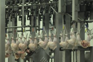 Coreia do Sul realizará inspeção nos frigoríficos de frango do Brasil para reabrir comércio de exportação