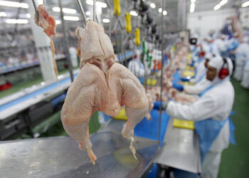 China retira proibição de importação sobre frango brasileiro após gripe aviária Após China e UE, Argentina suspende parte das importações de produtos avícolas do Brasil por caso de gripe aviária