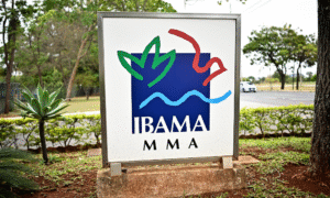 ONGs acionam Justiça para barrar perfuração na Foz do Amazonas