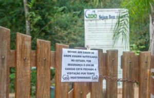 Filipinas e Jordânia se juntam a outros 19 destinos e suspendem importações de frango do Brasil