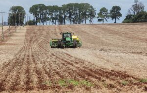 Safra de grãos 2024/25 no Brasil deve alcançar 339 milhões de toneladas