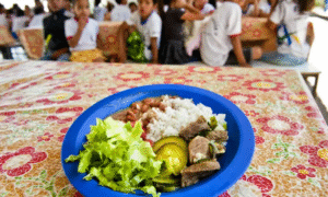 Fome atinge 6,48 milhões no Brasil em 2024, menor nível em 20 anos