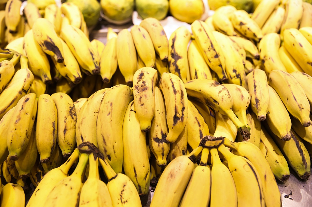 Deputada do PL quer impedir que Brasil compre bananas do exterior