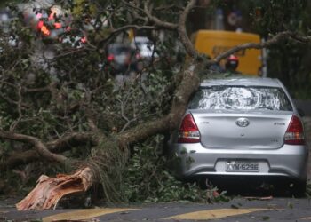 Ciclone provoca ventos fortes, chuvas e quedas de árvores no Rio Ciclone provoca ventos fortes, chuvas e quedas de árvores no Rio