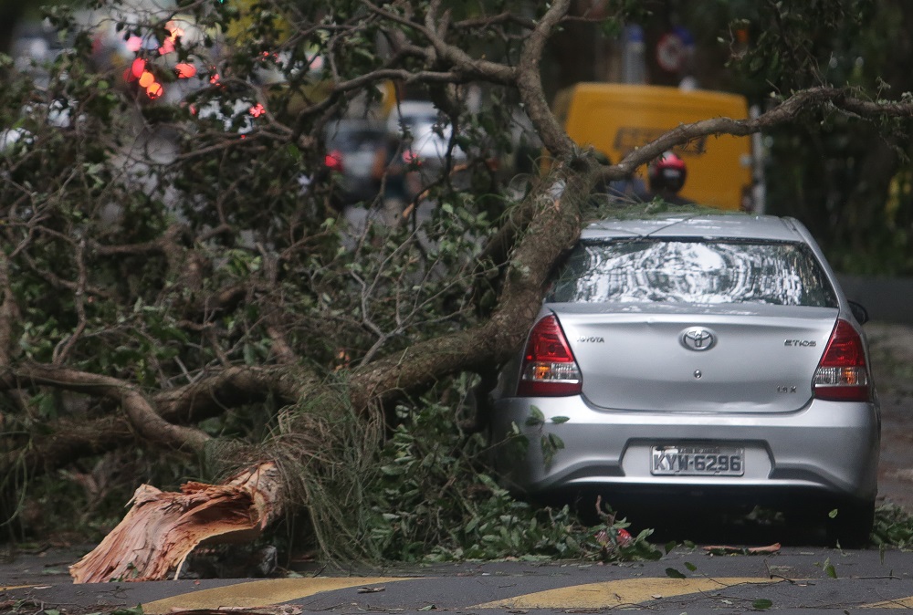 Ciclone provoca ventos fortes, chuvas e quedas de árvores no Rio