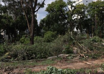 Na cúpula do príncipe William, Marina Silva anuncia criação de coliazão internacional contra crimes ambientais Na cúpula do príncipe William, Marina Silva anuncia criação de coliazão internacional contra crimes ambientais