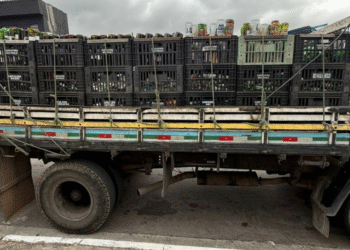 Polícia de SP faz operação contra comércio de bebidas adulteradas Polícia de SP faz operação contra comércio de bebidas adulteradas