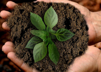 Quais as medidas do Acordo de Paris?