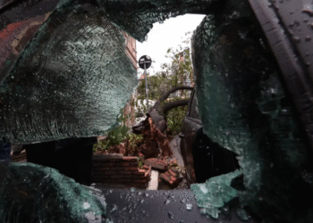 Justiça vê omissão da prefeitura de São Paulo na prevenção de enchentes Justiça vê omissão da prefeitura de São Paulo na prevenção de enchentes