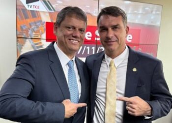 Flávio Bolsonaro posta foto ao lado de Tarcísio em meio a discussão sobre sucessão de Bolsonaro