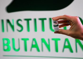 Vacina do Butantan freia replicação do vírus da dengue, diz estudo Vacina do Butantan freia replicação do vírus da dengue, diz estudo