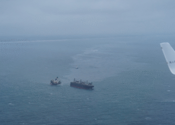 Terremoto de magnitude 7,6 atinge Japão e provoca alerta de tsunami