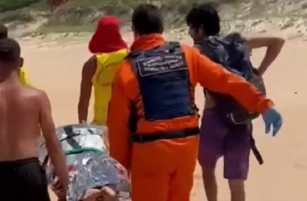 Mulher sofre ataque de capivara durante mergulho e fica sem parte da nádega