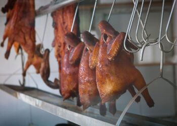 o risco de uma pandemia pior que a Covid Ícone de Busca